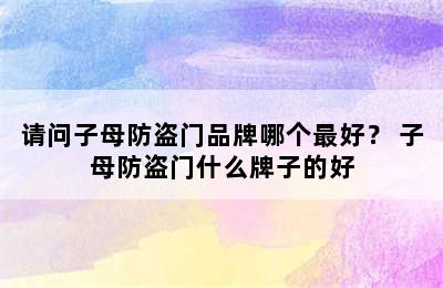 请问子母防盗门品牌哪个最好？ 子母防盗门什么牌子的好